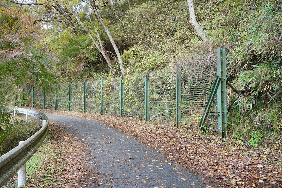 Semi Rigid Rockfall Barrier
